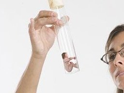 输卵管积水做试管能初次成功吗？4大真实经验助你成功受孕