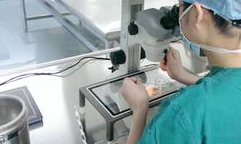 辅助生育政策试管婴儿（辅助生殖技术试管婴儿的主要适应症不包括）