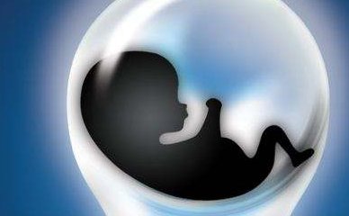 备孕促排卵的食物和水果一览表，多吃这些效果好不容错过！