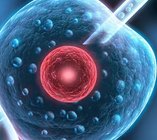 解析：俄罗斯试管婴儿是如何做到85%的成功率