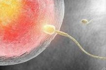 40岁打算备孕二胎，在义马市还能做试管婴儿吗？