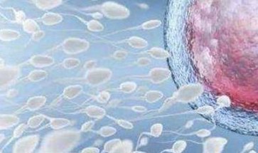 浅谈免疫有问题对试管婴儿是否有影响，警惕感染影响受孕率