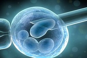 深圳市罗湖区人民医院做三代试管婴儿成功率高不高？什么因素可以影响到试管成功率