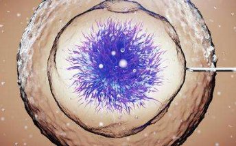 试管婴儿加抗生素（试管婴儿用那么多药有副作用吗）